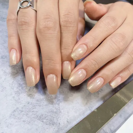 シンプルワンカラー / グラデーション 💅