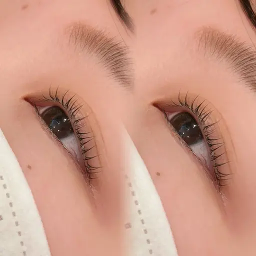 3月末までの限定クーポン！【ラッシュリフト】🫧