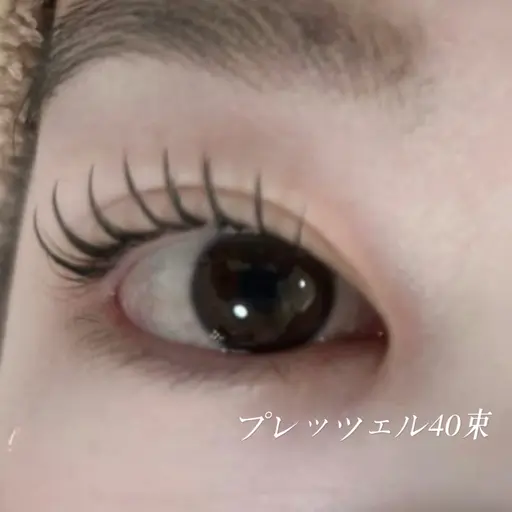 【プレッツェル40束モデル🤍𐙚】- ̗̀⚠︎ ̖́-詳細を必ずお読み下さい！※返金不可