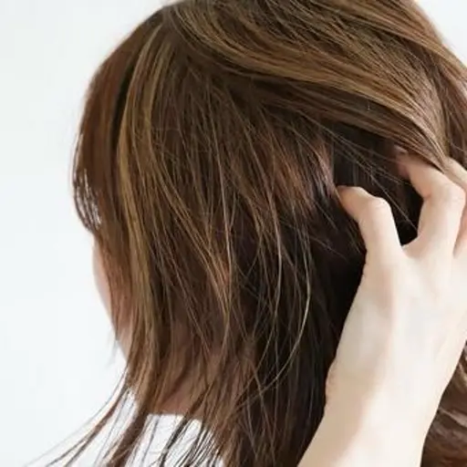 ✨ミニモ大人女子限定✨白髪ぼかしハイライト5​〜​10枚＋カット＋うる艶トリートメント