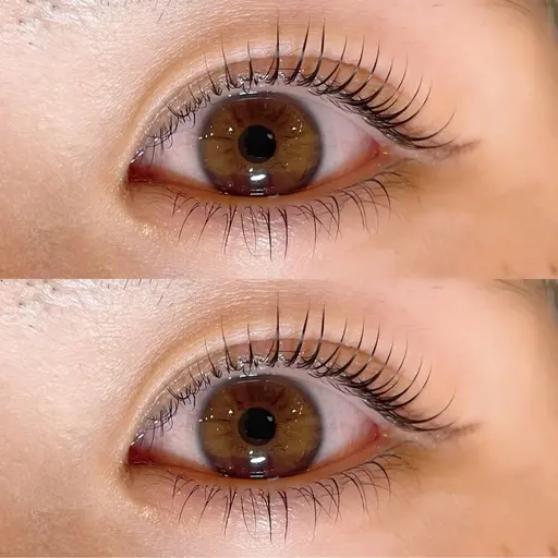 正時のみ！🍊エクステオフなし🍊上下まつ毛パーマモデル