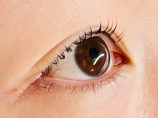 ミニモ限定☆オーダーラッシュリフト+眉スタイリング(wax&間引き、メイク無し)