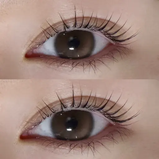 【ミニモ限定】まつ毛パーマ👀💞（コーティングお仕上げ付き◎）