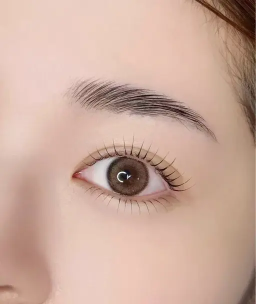 パーマ/パリジェンヌ (上のみ)