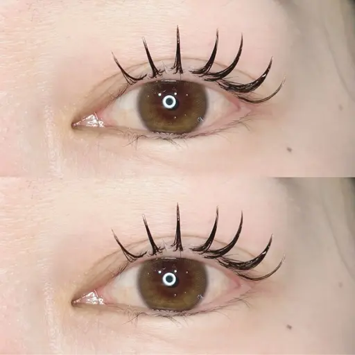 【🤎新導入キャンペーン価格🤎】ダブルフラットラッシュ80束(160本)