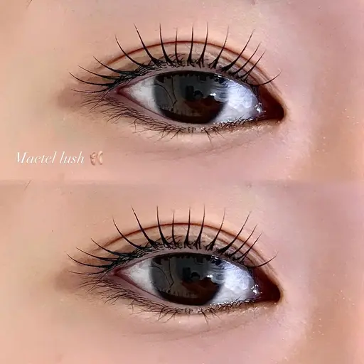 《パリジェンヌorメーテル》🩶コーティング仕上げ付き🫧