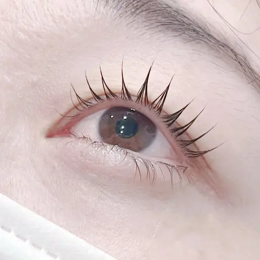 🌼3/16以降まつ毛パーマ練習モデル 1時間半 現金のみ