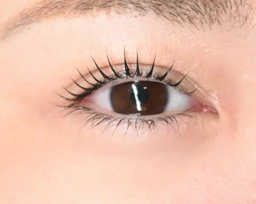 【ブラックトリートメント付き】ダメージレスまつ毛パーマ