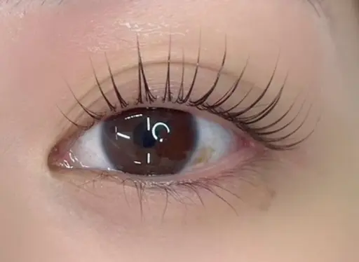 ✨1/23まで限定✨【60分】⭐️選べるまつ毛パーマ+束感コーティング付⭐️