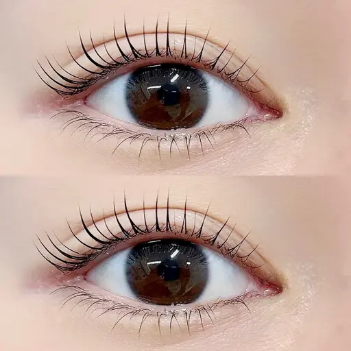 当日限定❕ラッシュリフト🌿トリートメント仕上げ✨