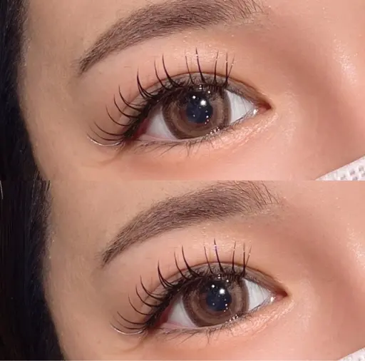 🌱12月限定価格🌱【パリジェンヌ風でしっかり根元から♪】まつげパーマ👀コーティングトリートメント仕上げ✨