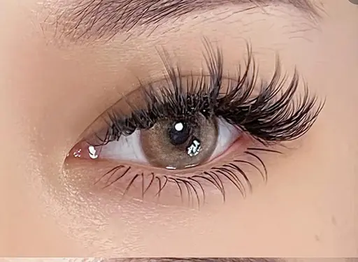 【新規オフ無料★持ち軽さ抜群】海外最新アメリカmixフン6D～ ボリュームラッシュ500本 ¥7980