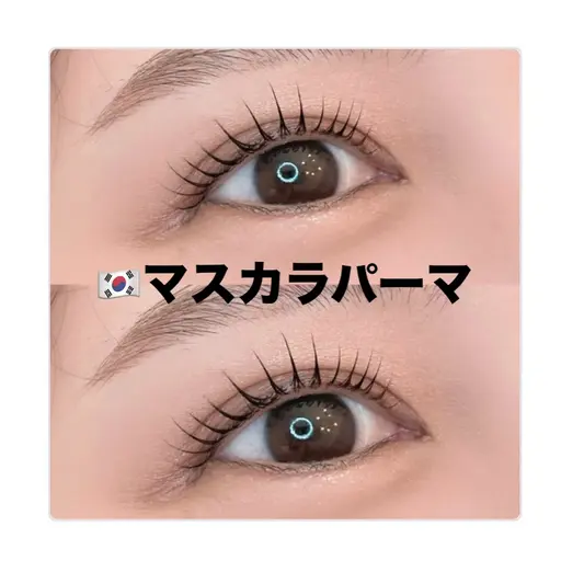 ミニモ限定🩵《韓国🇰🇷で大流行！》ブラックティント付きマスカラパーマ🐼🖤￥7700→￥5000