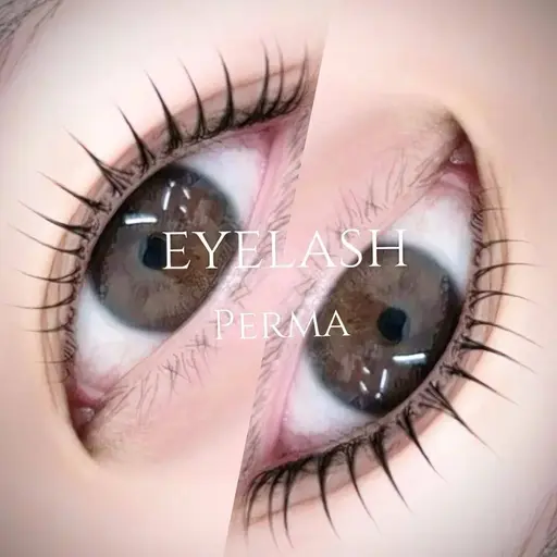 まつ毛パーマorフラット100本練習モデル【0円】※必ず備考欄をお読み頂きご予約お願い致します🙇