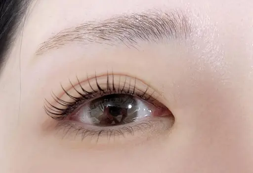 パリジェンヌorまつ毛パーマトリートメント付き