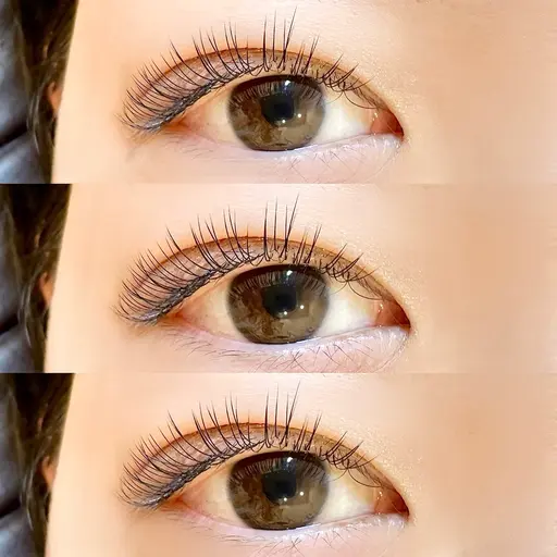 《ミニモ学割》オフ無料・フラットラッシュ120本コース🌿