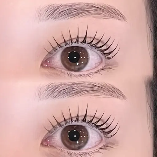 【本日限定価格・間引きなしのみ】 🌿美眉スタイリング&ラッシュリフト🌿 ⚠️新規10分前来店必須