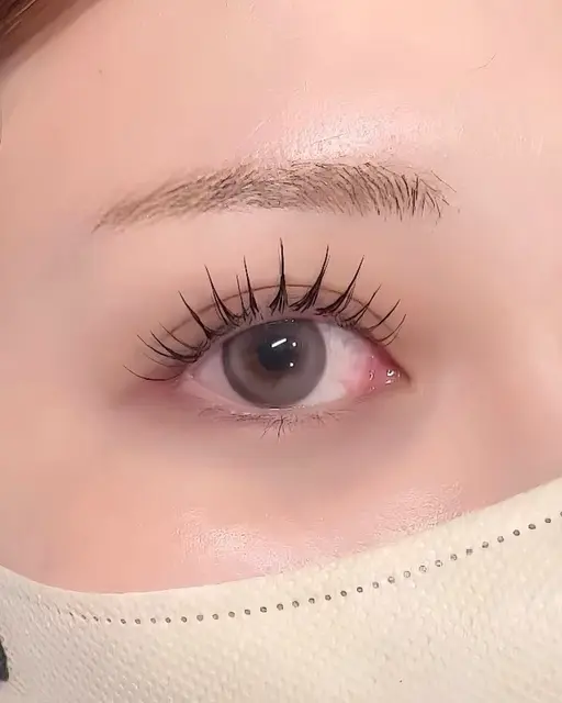 【12月限定★】まつげパーマorパリジェンヌ(トリートメント付き)