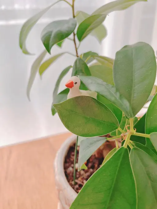 当店オフのみ🧚♀️※施術時間が短いためご遅刻厳禁⚠️