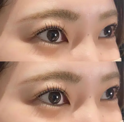 ラッシュリフト上のみ🌸【フェニックスコーディング付】