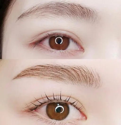 【無料モデル募集✨】ハリウッドブロウリフト(ブロウラミネーション＋眉毛WAX)