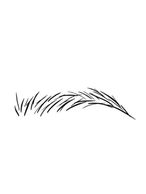 当日限定🎀美眉スタイリング