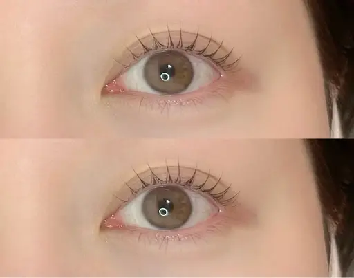 当日限定🌟まつ毛パーマ