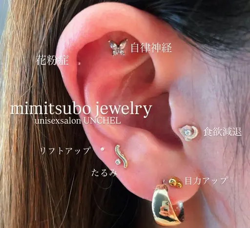 SNSで話題💕耳ツボジュエリー💎