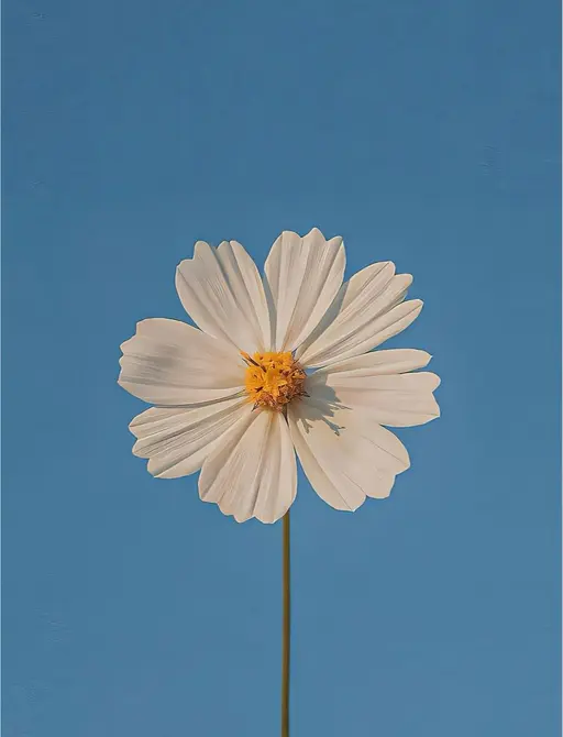 🌿‬似合わせカット＋髪質改善カラー🌿‬