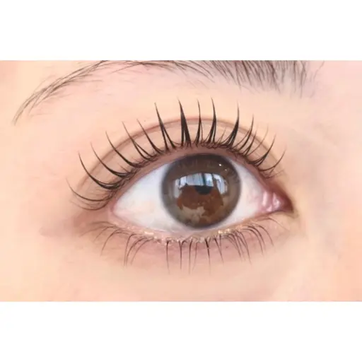 4月3日限定　パリジェンヌ練習モデル⭐️詳細をご確認の上ご予約ください