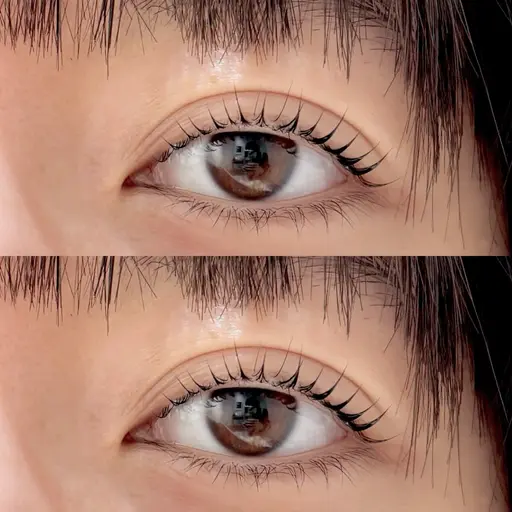 《1/19.20限定》まつげパーマ🧚🏻‍♀️￥3300