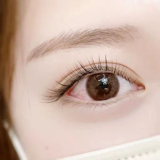 【オフあり】セーブル120本