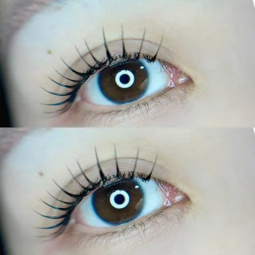 フラットラッシュ60​〜​180本🪡【本数により料金異なります】