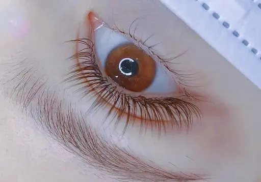 Wフラットラッシュ100束（200本）オフ+600