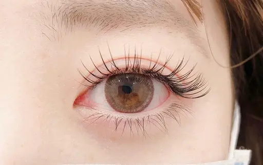 【新規】フラットラッシュ100本🤎(オフ無料)