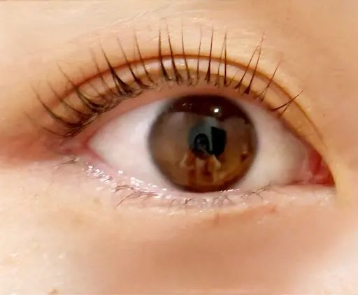 [当日限定]✨まつ毛カール✨アイシャンプー付き‼️5.500円→3,300円