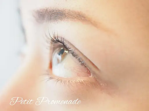 ◆ご新規様限定◆次世代まつげパーマ パリジェンヌラッシュリフト(ケラチントリートメント、コーティング付)