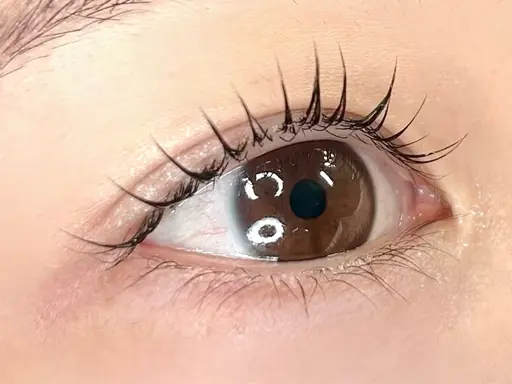 《まつ毛パーマ》（上）韓国風束間仕上げ🎀Lib大人気メニュー🎀