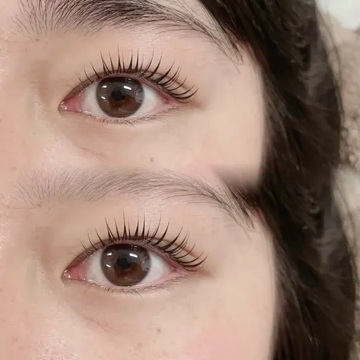 【🎀無料レッスンモデル募集🩷まつ毛パーマ  詳細ご確認下さい　オフ無しの方のみ！⚠️質問にご回答をお願いいたします。