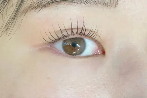 🌺パリジェンヌラッシュリフト🌺　​〜​トリートメント、コーティング付き​〜​