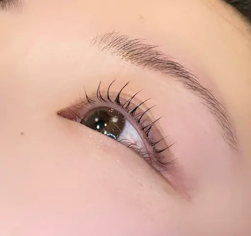 【3月30日限定👌🏻 ̖́-︎】🩵束感まつ毛パーマ🩵コーティング仕上げ