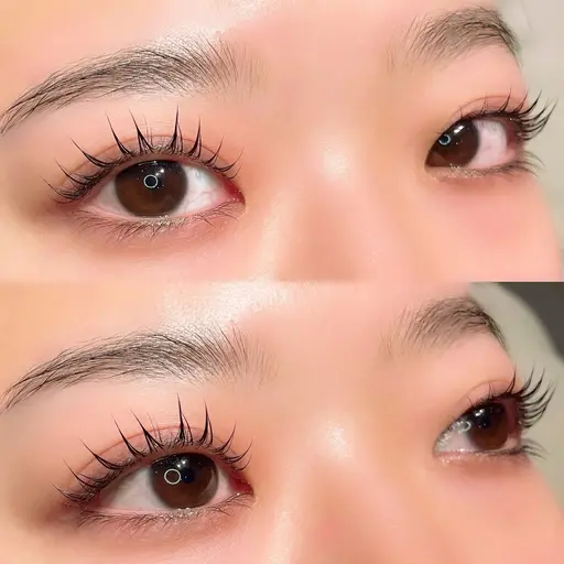 半額❣️パリジェンヌラッシュリフト (コーティング剤付き)🦋𓂃 𓈒𓏸◌