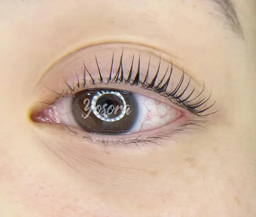 まつげパーマ(上)支払い現金のみ ⚠️注意事項を必ずお読みください。