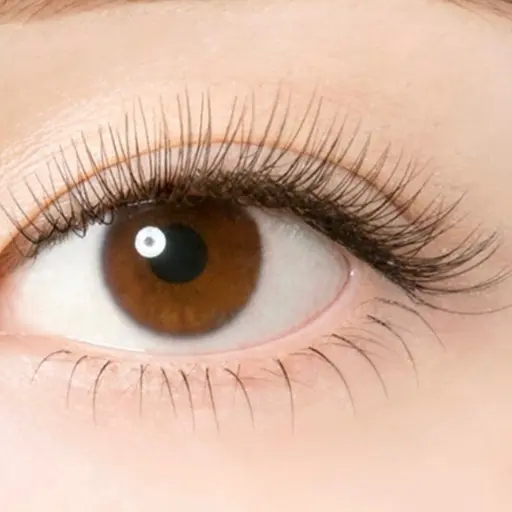 下まつ毛エクステ30本　練習モデル