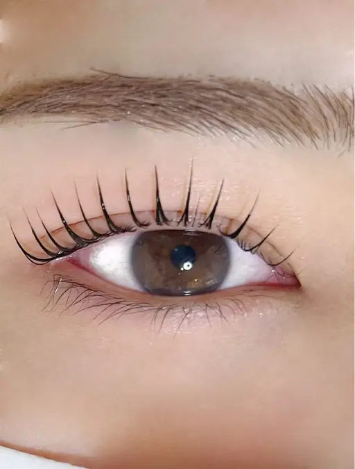 💗期間限定💗 パリジェンヌ 上のみ オフ別 ￥2980コラーゲンTR付き