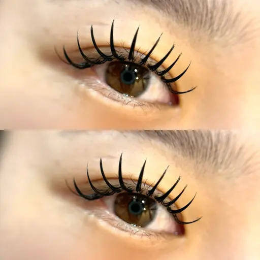 パーフェクトラッシュ120​〜​240本🪡[本数によって値段が異なります】