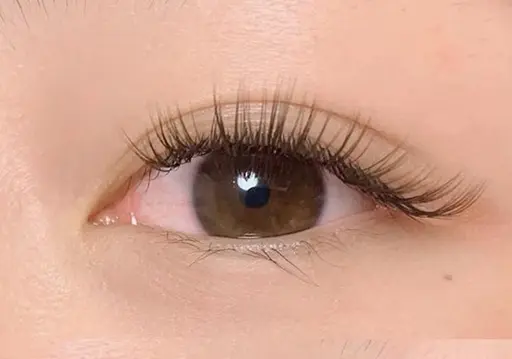 上下マツパ💫パリジェンヌorラッシュリフト【アイシャンプー美容液コーティング仕上げ】