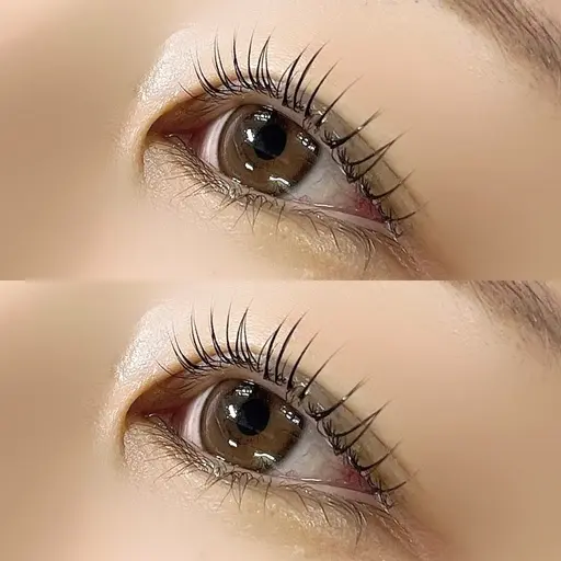 【ミニモ限定】まつげパーマ🪩💞➕コーティング仕上げ🫧