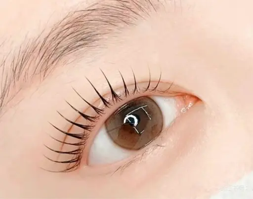 パリジェンヌラッシュリフト✨韓国束感🌈コーティング仕上げ ✅