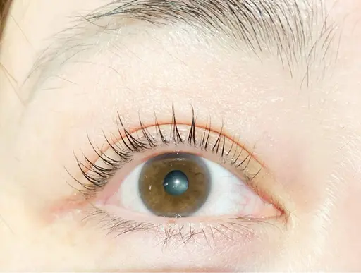 【根元から80°立ち上げ♪まぶたスッキリ】パリジェンヌラッシュリフト